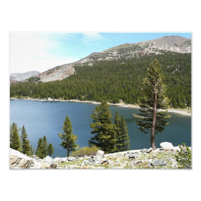 Tenaya Lake in Yosemite National Park Photo Print (Front)