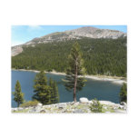 Tenaya Lake in Yosemite National Park Postcard