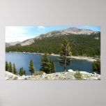 Tenaya Lake in Yosemite National Park Poster