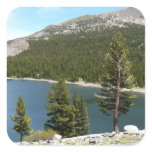 Tenaya Lake in Yosemite National Park Square Sticker