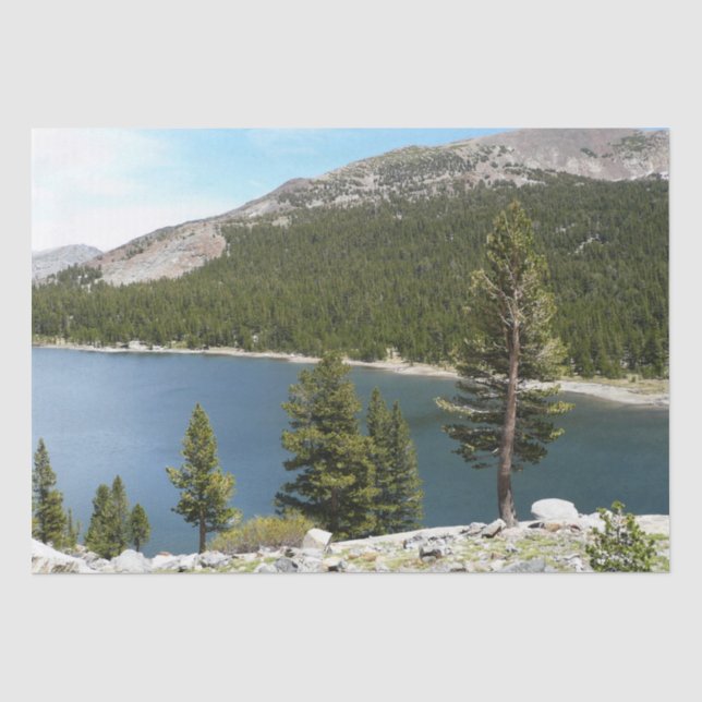 Tenaya Lake in Yosemite National Park Tissue Paper (Front)