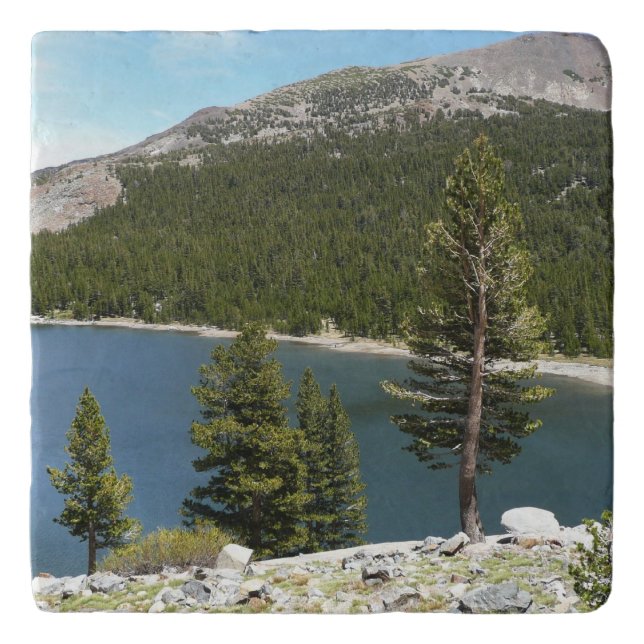 Tenaya Lake in Yosemite National Park Trivet (Front)
