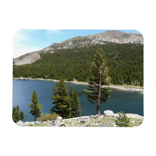 Tenaya Lake Magnet (Horizontal)
