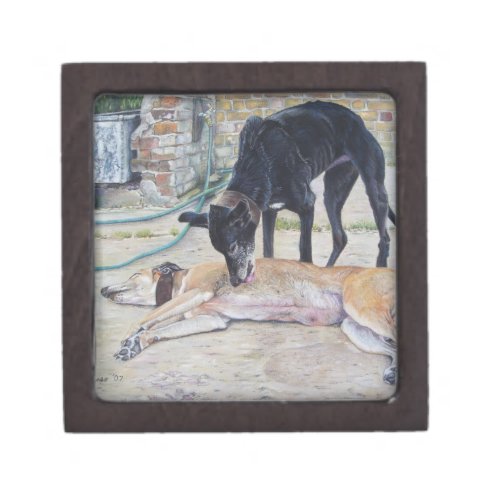 tender and loving picture of grayhound dogs   gift box