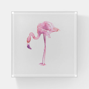 Tender Flamingo Series Design 4 Paperweight