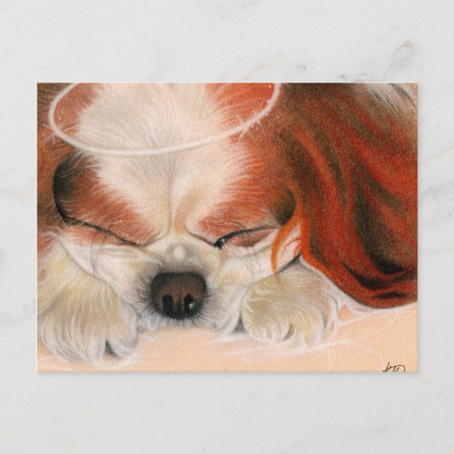 Tender Heart Angel Puppy Postcard (Front)