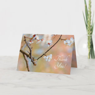 Tender Japanese Apricot Blossoms Thank You Card