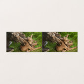 Tender Mother Moose (Outside Unfolded)