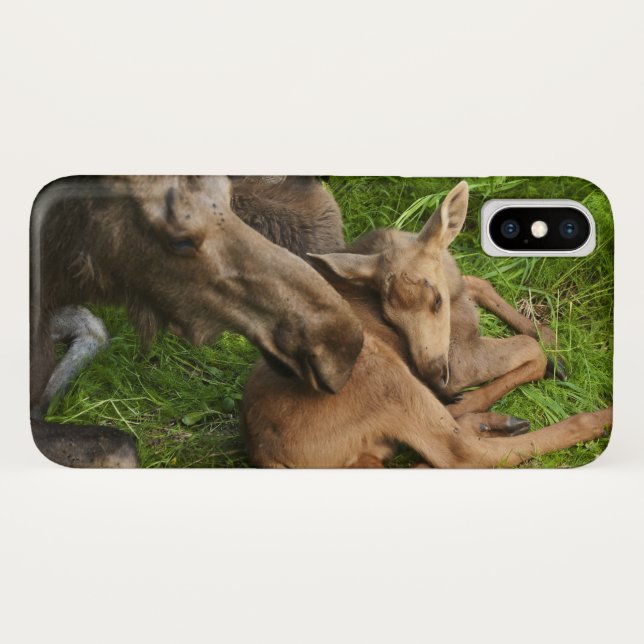 Tender Mother Moose Case-Mate iPhone Case (Back (Horizontal))