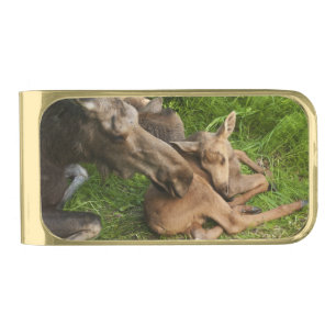 Tender Mother Moose Gold Finish Money Clip