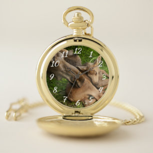 Tender Mother Moose Pocket Watch