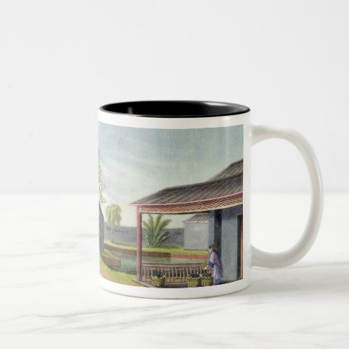 Tending tea plants wc on paper Two_Tone coffee mug