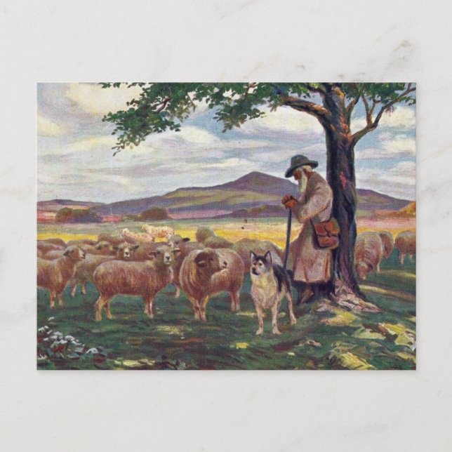 Tending the Sheep Postcard (Front)