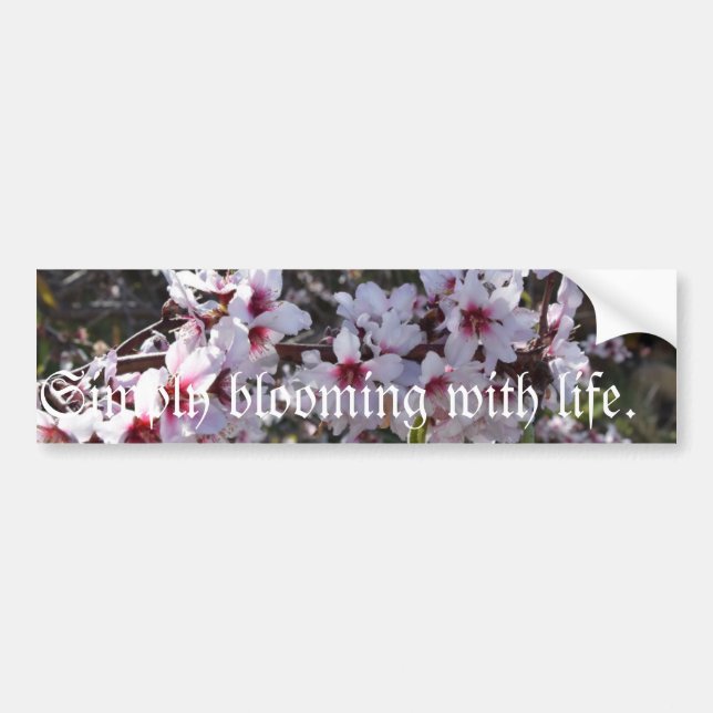 Tenerife Almond Flowery Car Sticker (Front)