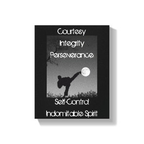 Tenets of Taekwondo Moon Kick Canvas Print