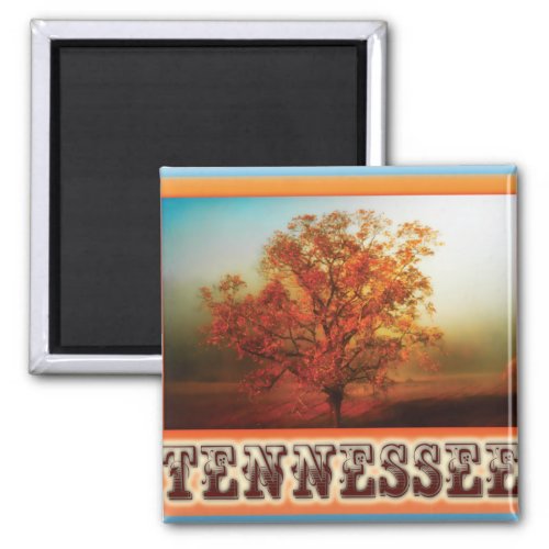 Tennessee Fall Tree Scene Magnet