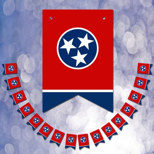 Tennessee Flag Party bunting Banners  Weddings