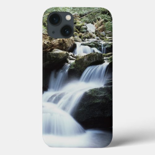 Tennessee Great Smoky Mountains National Park 3 iPhone 13 Case