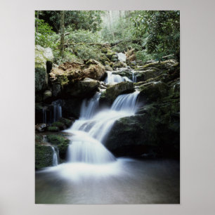 Tennessee, Great Smoky Mountains National Park 3 Poster