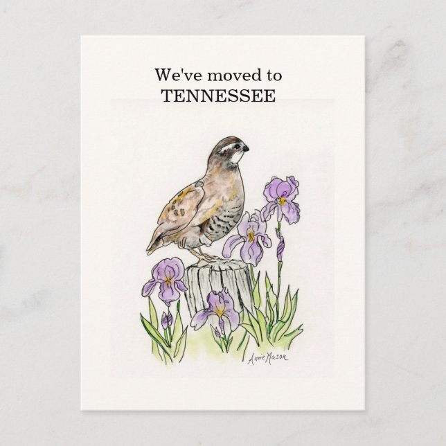 Tennessee Postcard (Front)