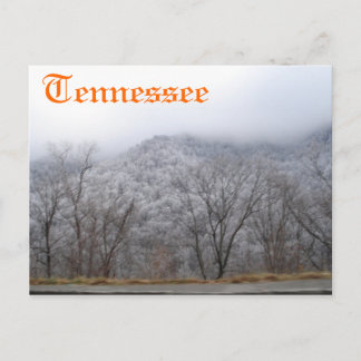 Tennessee Postcard