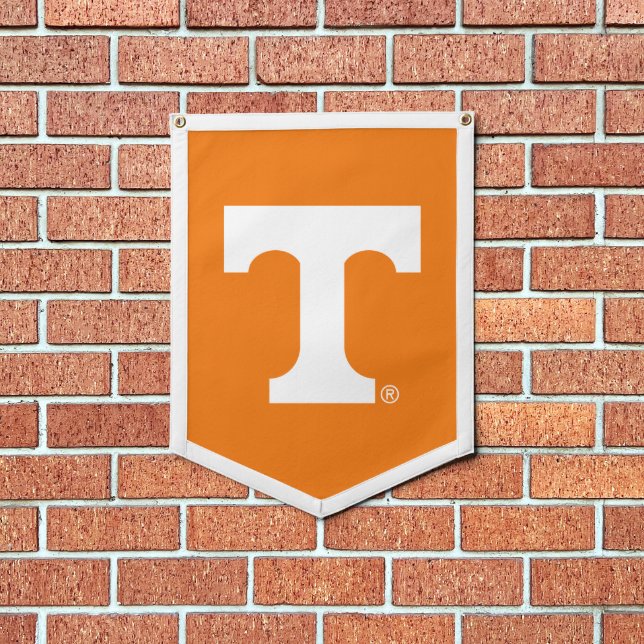 Tennessee Power T Pennant (Insitu 1)