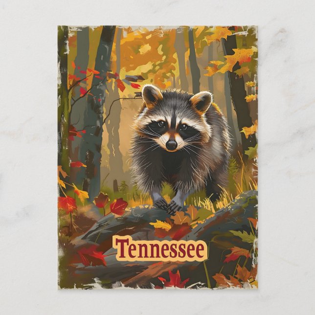 Tennessee Raccoon Postcard (Front)