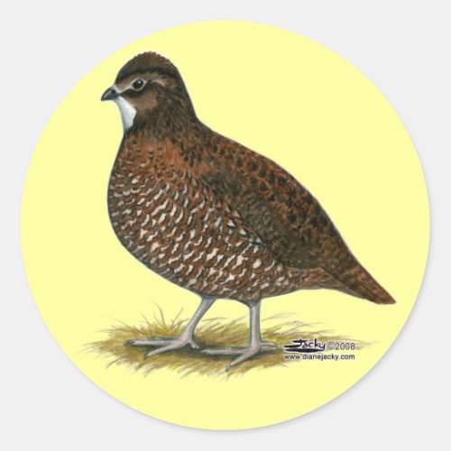 Tennessee Red Quail Classic Round Sticker