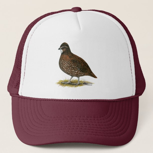 Quail Hats & Caps Zazzle