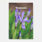 Tennessee State Flower