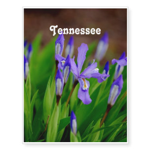 Tennessee State Flower Temporary Tattoos