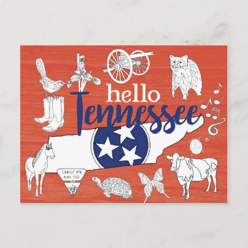 Tennessee State Symbols Volunteer State Images Postcard