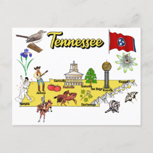 Tennessee state, USA Postcard