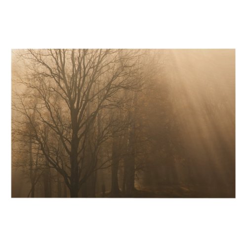 Tennessee Trees in Fog  Great Smoky Mountain Wood Wall Art