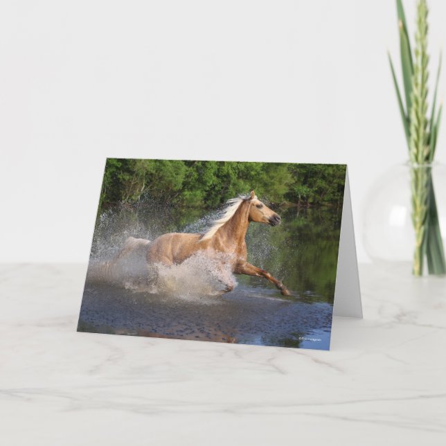 Tennessee Walker Running Through Water Card (Front)