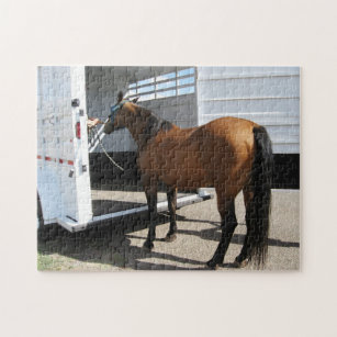 Tennessee Walking Horse & Horse Trailer Jigsaw Puzzle