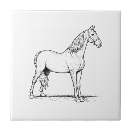 Tennessee Walking Horse _ Standing Ceramic Tile