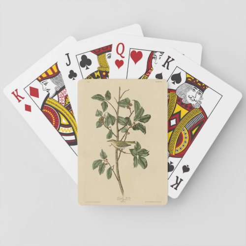 Tennessee Warbler from Audubons Birds of America Poker Cards