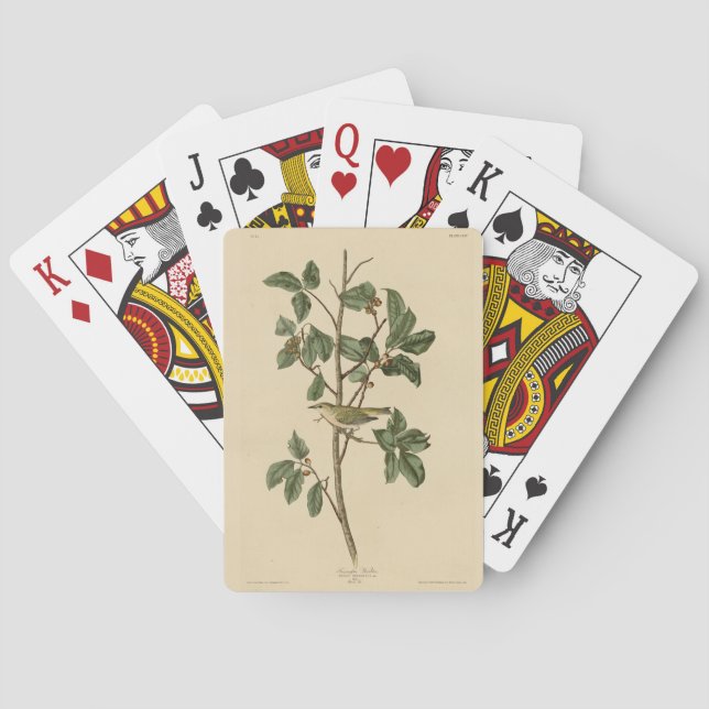 Tennessee Warbler, from Audubon's Birds of America Poker Cards (Back)