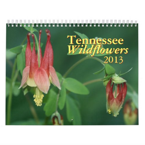 Tennessee Wildflowers 2013 Calendar