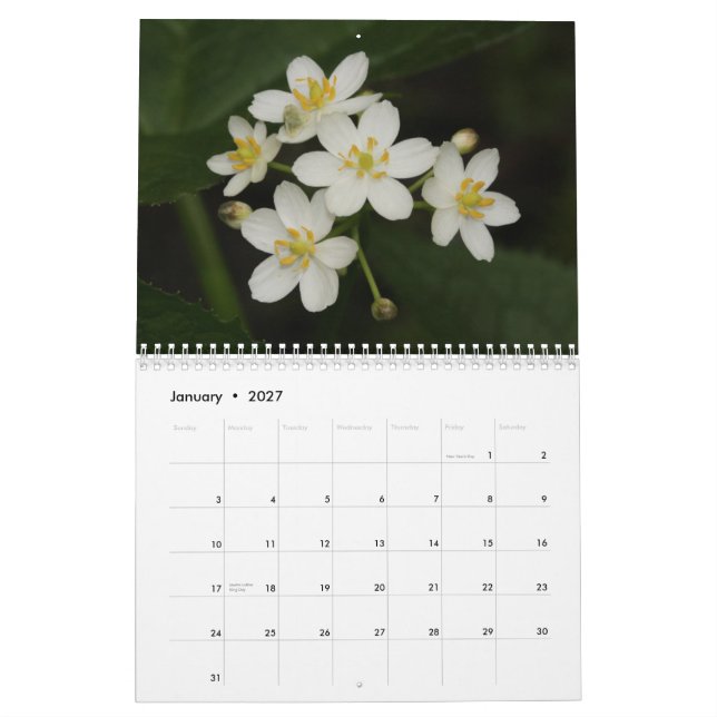 Tennessee Wildflowers 2013 Calendar (Jan 2027)