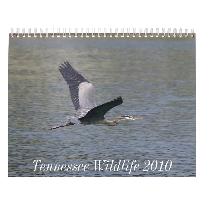 Tennessee Wildlife 2010 Calendars