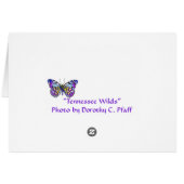 Tennessee Wilds Cards (Back Horizontal)