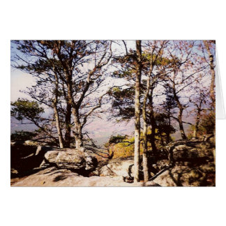 Tennessee Wilds Cards