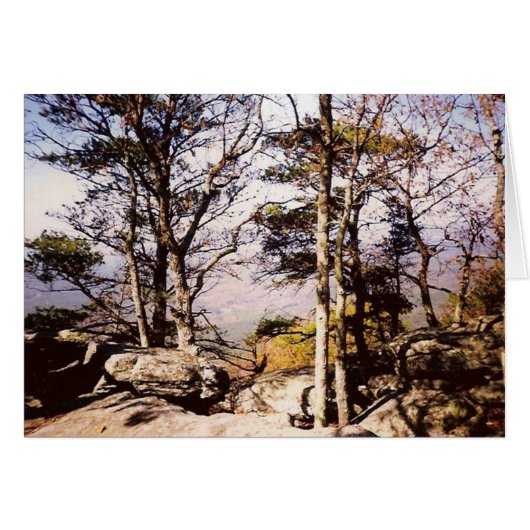 Tennessee Wilds Cards (Front Horizontal)