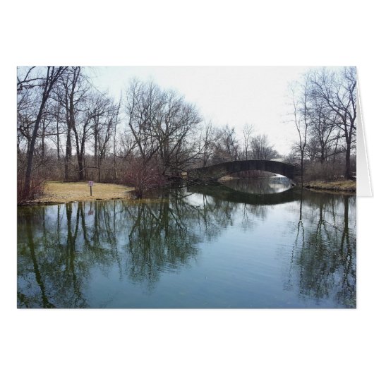 Tenney Park in Early Spring Cards (Front Horizontal)