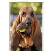 Tennis, anyone? (Front)