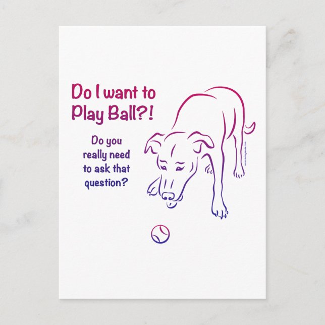 Tennis Ball Dog Postcard (Front)