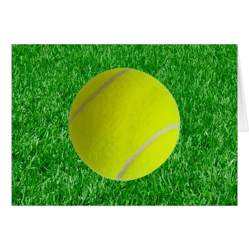 Tennis Ball On Lawn