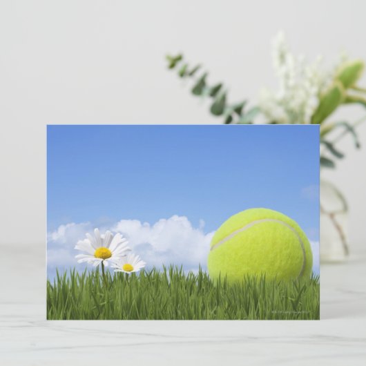 Tennis Balls (Standing Front)